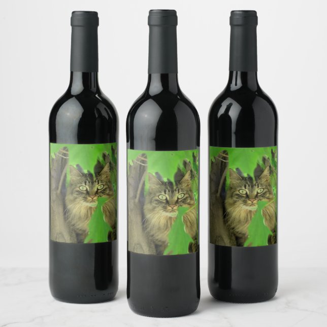 Maine Coon Cat in Tree Wine Label (Bottles)