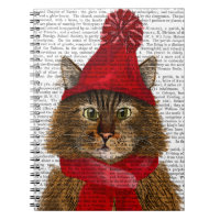 Maine Coon Cat