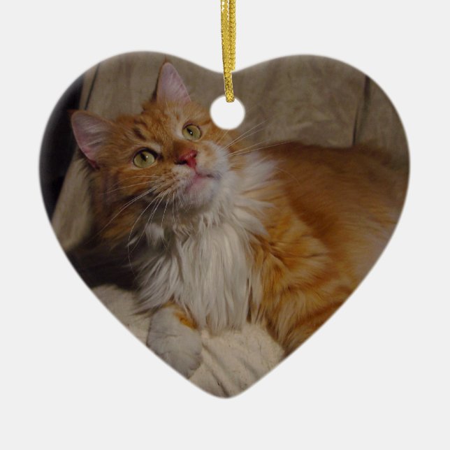 Maine Coon cat Ornament (Front)