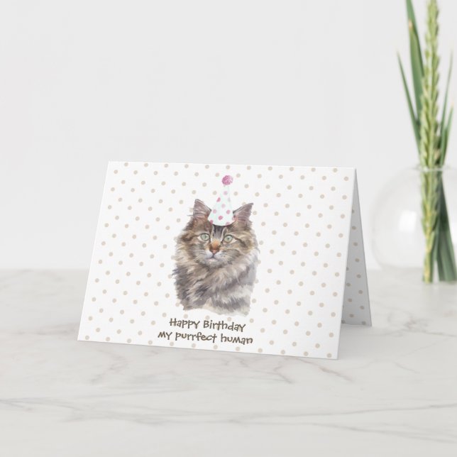 Maine coon Cat party hat celebrate birthday Card (Front)