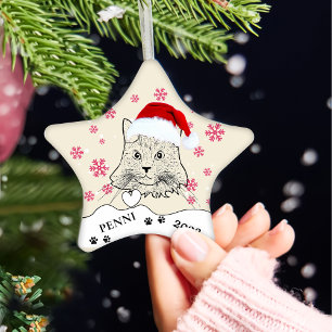 Maine Coon Cat Personalised Hand Drawing Ceramic Ornament