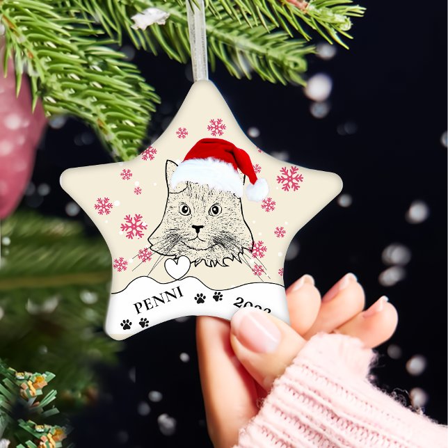 Maine Coon Cat Personalised Hand Drawing Ceramic Ornament (Creator Uploaded)