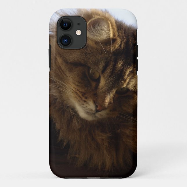 Maine Coon Cat Pet Phone Case (Back)