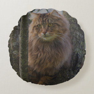 Maine Coon Cat Pet Round Cushion