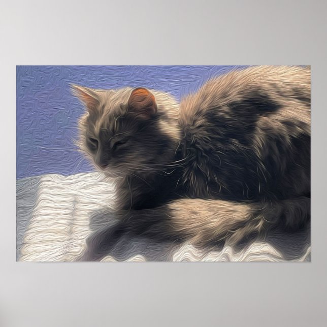 Maine Coon Cat Photo Poster (Front)