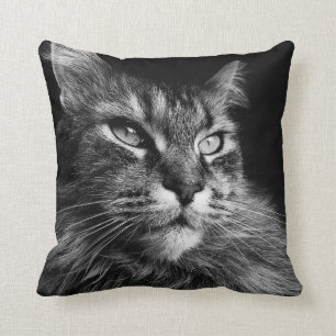 Maine Coon Cat pillow