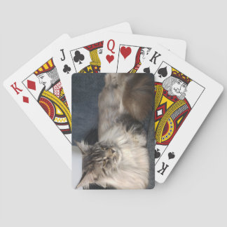 Maine Coon Cat Playing Cards