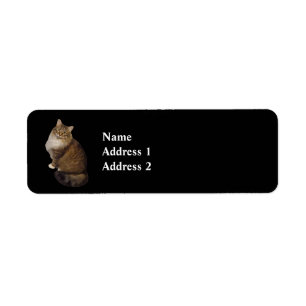 Maine Coon Cat Portrait Return Address Label