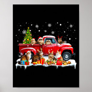 Maine Coon Cat Red Truck Christmas Tree Santa Ugly Poster