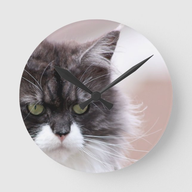 Maine Coon Cat Round Clock (Front)