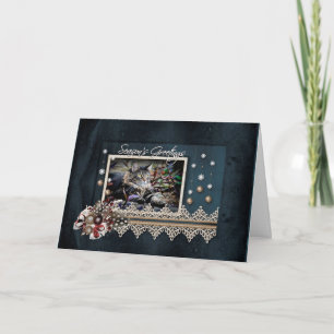 Maine Coon Cat Season's Greetings Holiday Card
