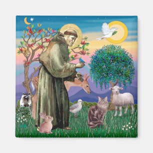 Maine Coon Cat  - St Francis Magnet