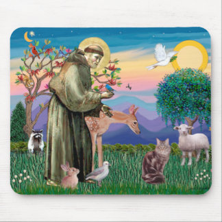 Maine Coon Cat  - St Francis Mouse Pad