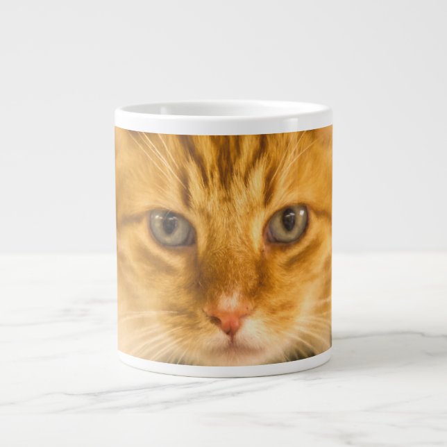 MAINE COON CAT STARE DOWN LARGE COFFEE MUG (Front)