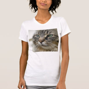 Maine Coon Cat T-Shirt