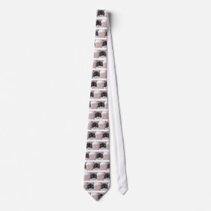 Maine Coon Cat Tie