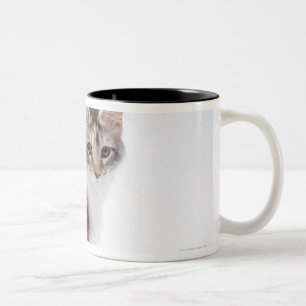 Maine Coon cat Two-Tone Coffee Mug