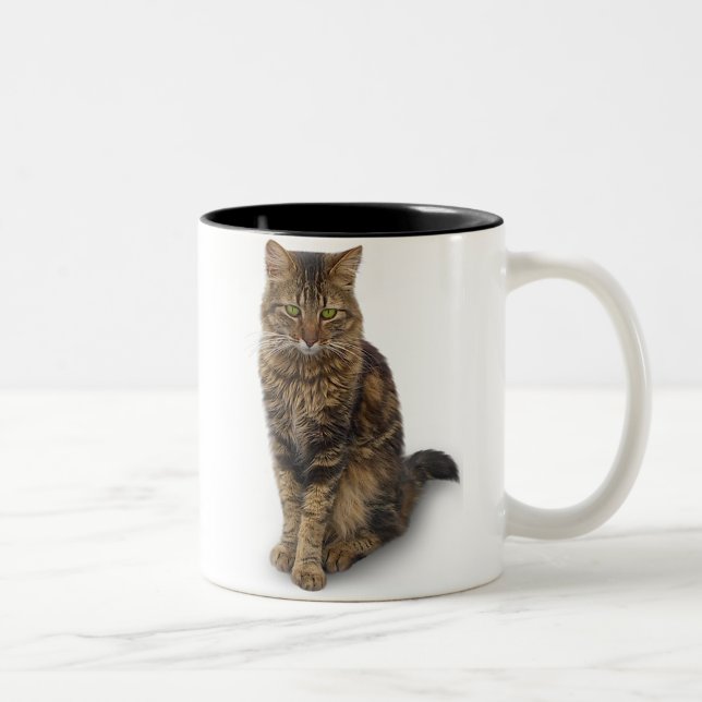 Maine Coon Cat Two-Tone Coffee Mug (Right)