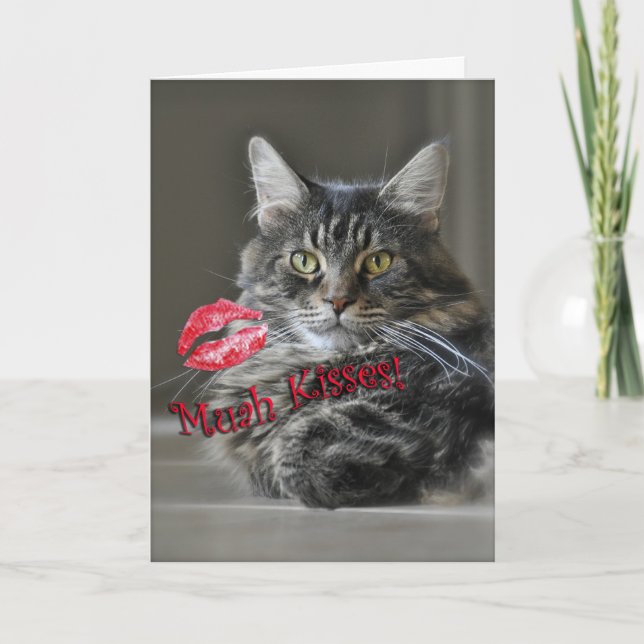 Maine Coon Cat Valentine's Greeting Card (Front)