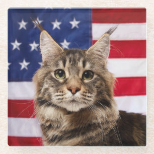 Maine Coon Cat With American Flag Glass Coaster