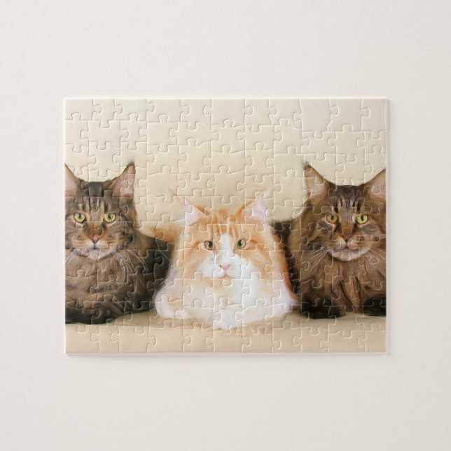 Maine Coon Cats Jigsaw Puzzle (Horizontal)