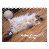 Maine Coon Cats | Main Coon Life