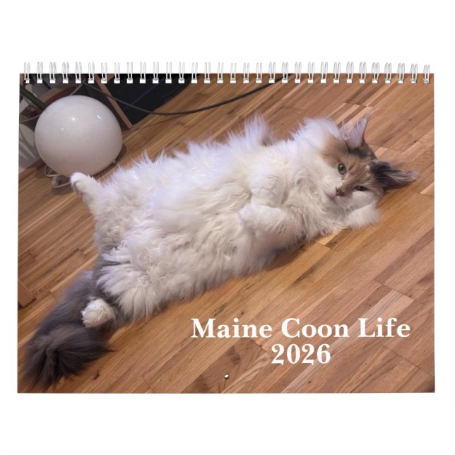 Maine Coon Cats | Main Coon Life Calendar (Cover)