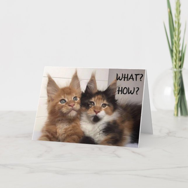MAINE COON CATS SAY **18** WOW!!!!! CARD (Front)