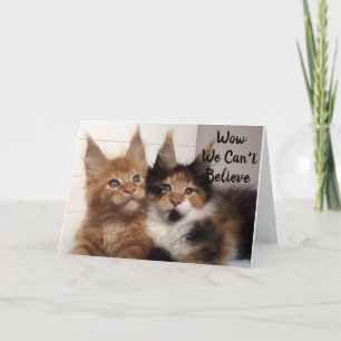 MAINE COON CATS SAY **40?** YOU? BIRTHDAY CARD