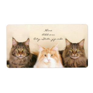 Maine Coon Cats Shipping Labels