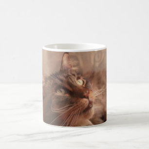 Maine Coon Coffee Mug