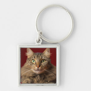 Maine Coon for Christmas with collector Key Ring