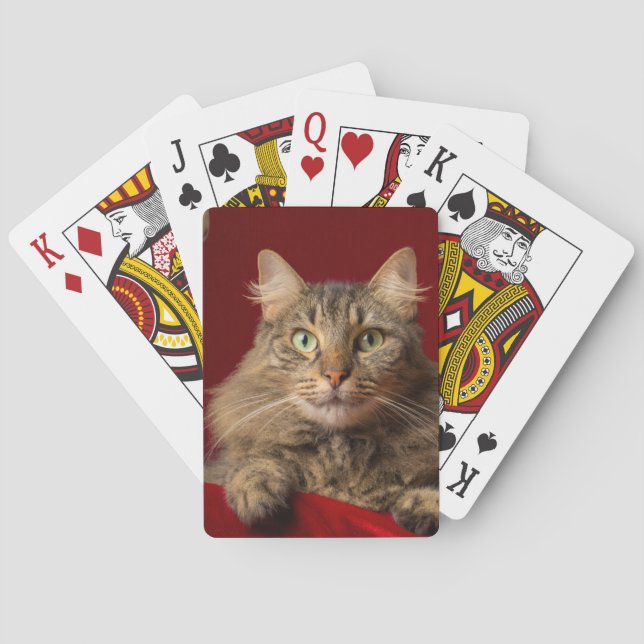 Maine Coon for Christmas with collector Playing Cards (Back)