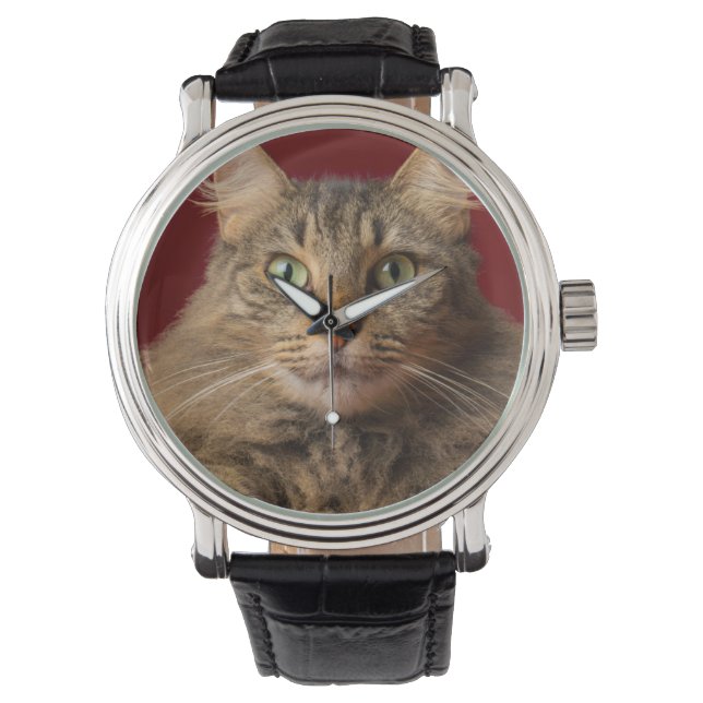 Maine Coon for Christmas with collector Watch (Front)