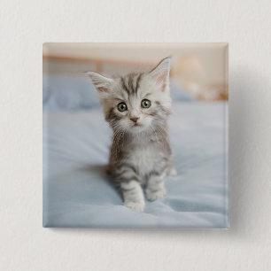 Maine Coon Kitten 15 Cm Square Badge