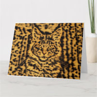 Maine Coon kitten cat leopard print tiger camo big
