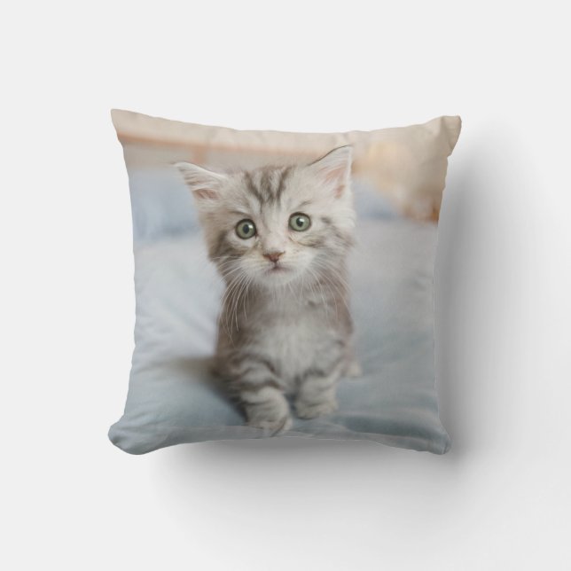 Maine Coon Kitten Cushion (Front)