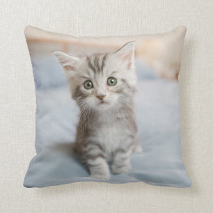 Maine Coon Kitten Cushion