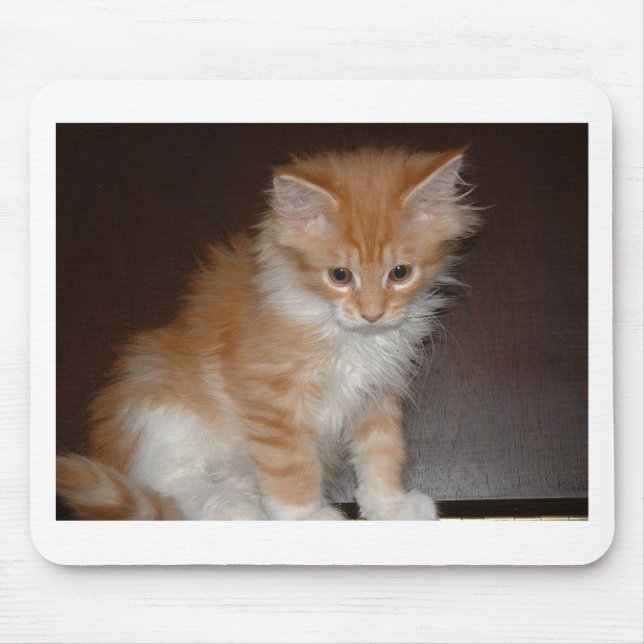 maine coon kitten.png mouse pad (Front)