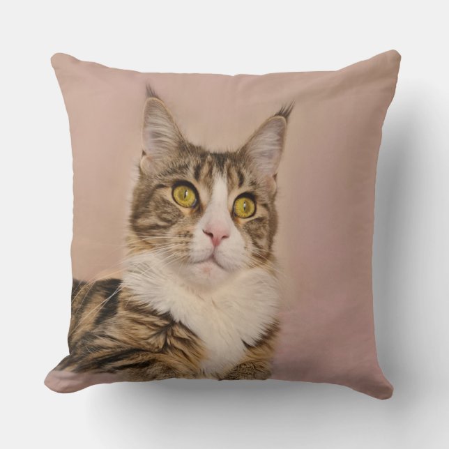 Maine Coon kitten portrait Cushion (Front)