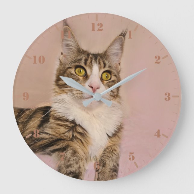 Maine Coon kitten portrait Large Clock (Front)