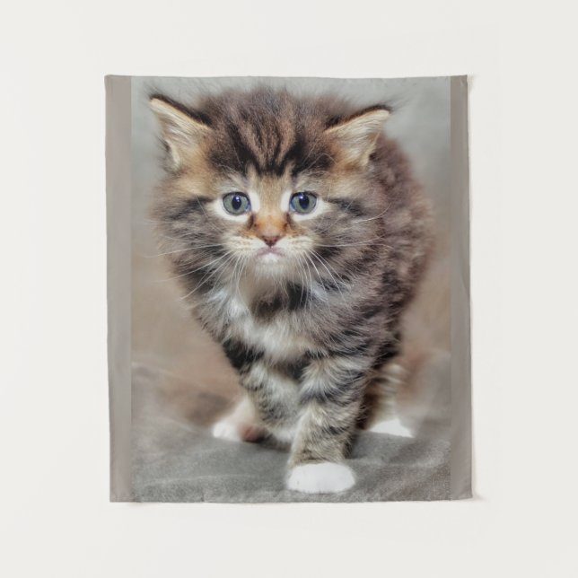 Maine Coon‎ Kitten Tapestry (Front)