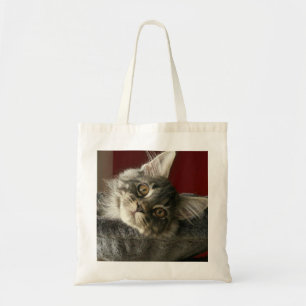 Maine Coon Kitten Tote Bag