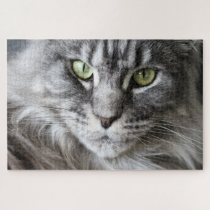 Maine Coon  Kitty Cat Cute Fun Animal Jigsaw Puzzle