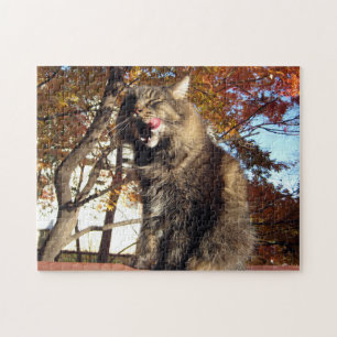 Maine Coon  Kitty Cat Cute Fun Animal Jigsaw Puzzle