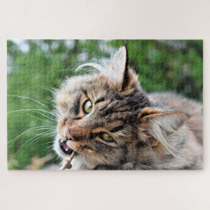 Maine Coon  Kitty Cat Cute Fun Animal Jigsaw Puzzle