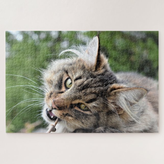 Maine Coon  Kitty Cat Cute Fun Animal Jigsaw Puzzle (Horizontal)
