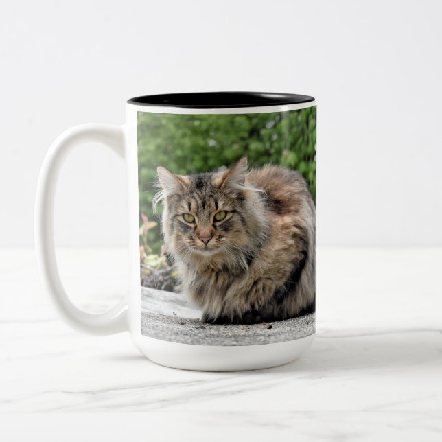 Maine Coon  Kitty Cat Two-Tone Coffee Mug (Left)