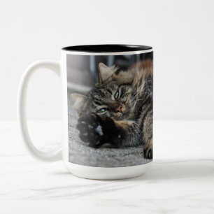Maine Coon  Kitty Cat Two-Tone Coffee Mug