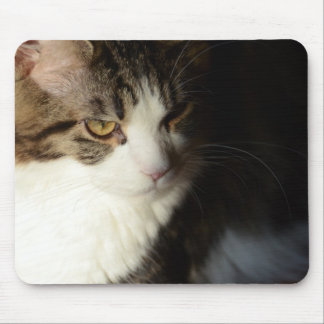 Maine Coon Kitty Mousepad